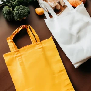 Traditional vs. Eco Non-Woven Bags