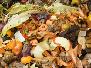 food-waste1