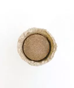 bio-seed-pots-promotional-soil-254x300