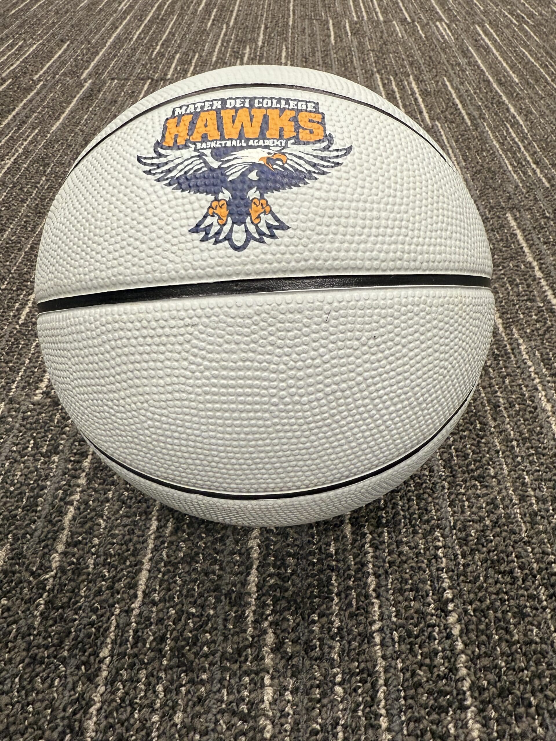 Why Schools and Clubs Are Turning to Custom Branded Basketballs