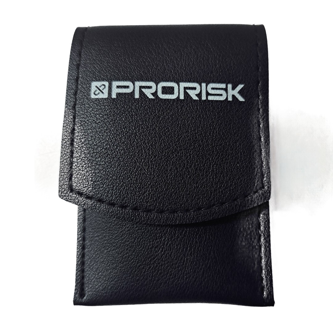 Case Study: ProRisk