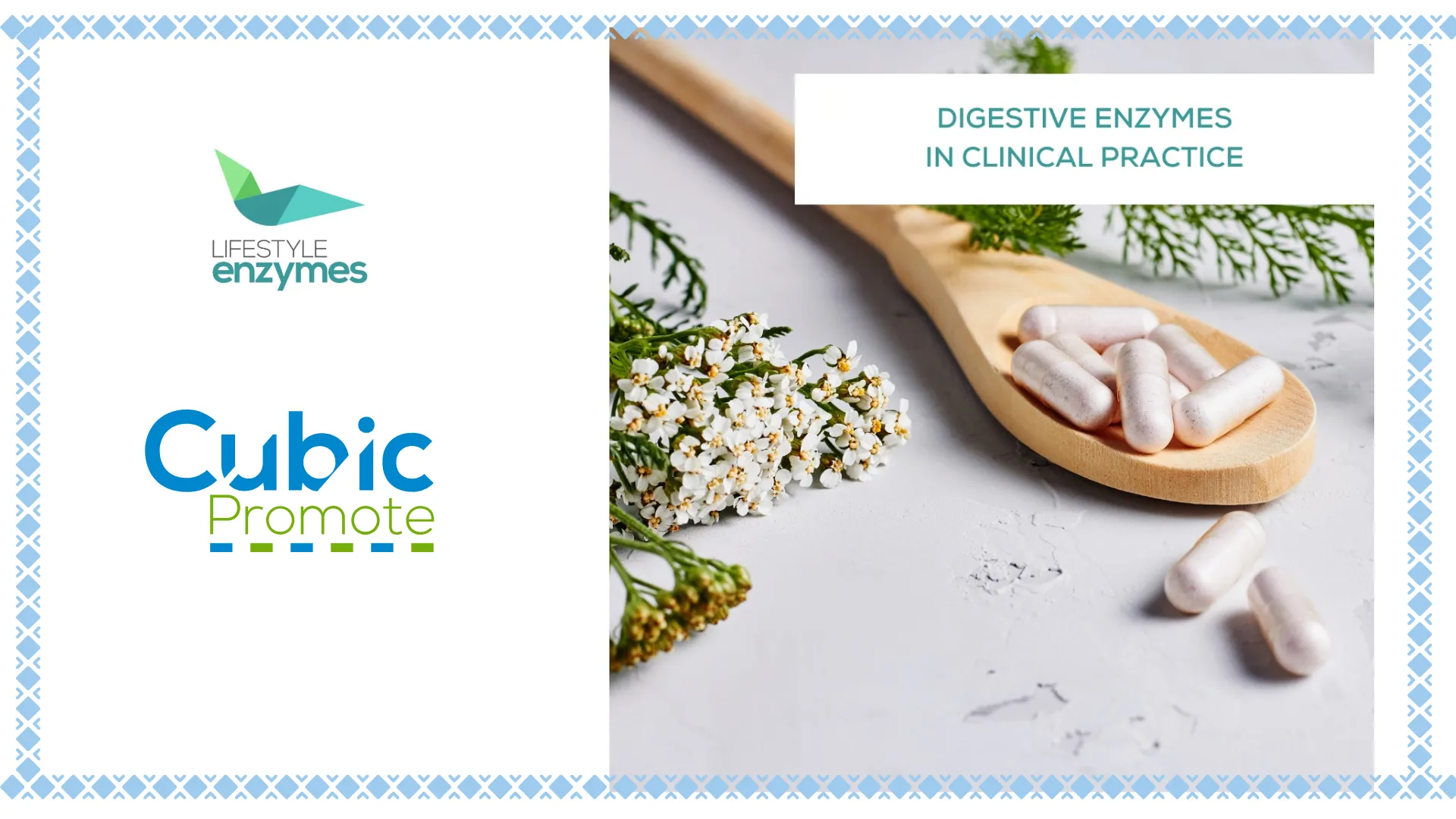 Lifestyle Enzymes