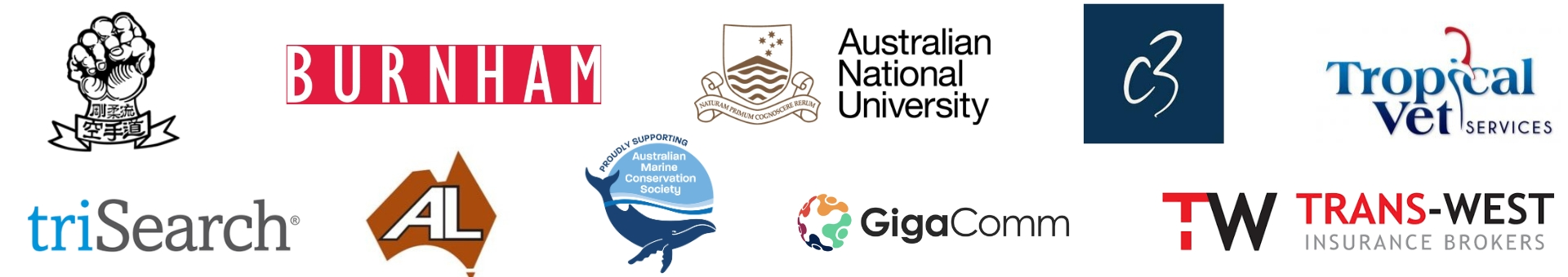 A row of assorted company and organization logos on a white background.