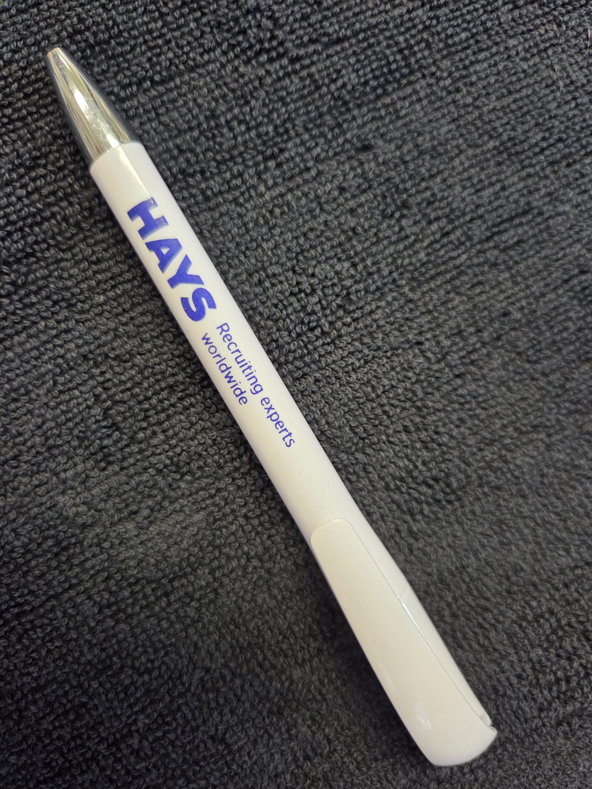 Hays Recruitment