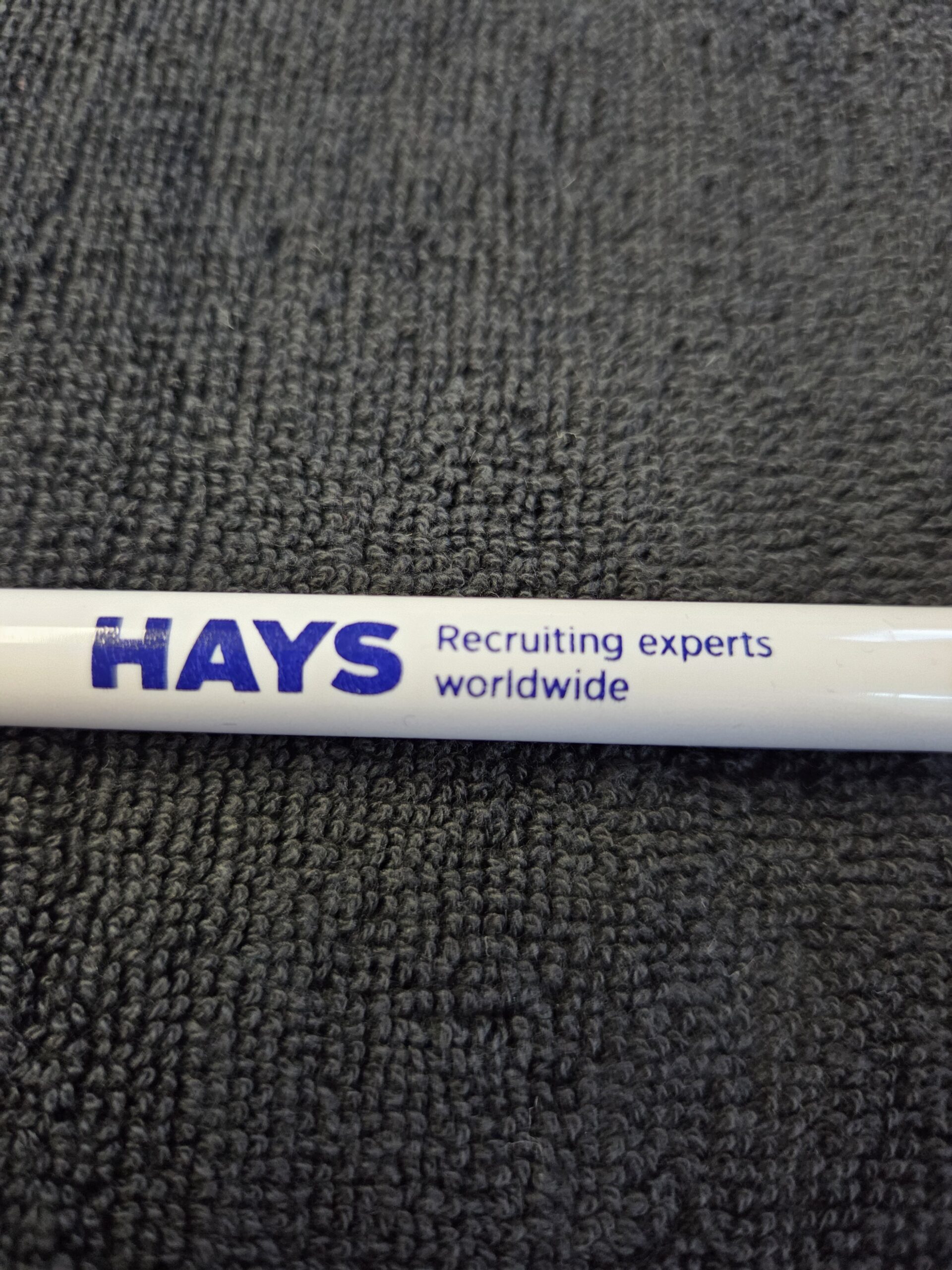 HAYS logo