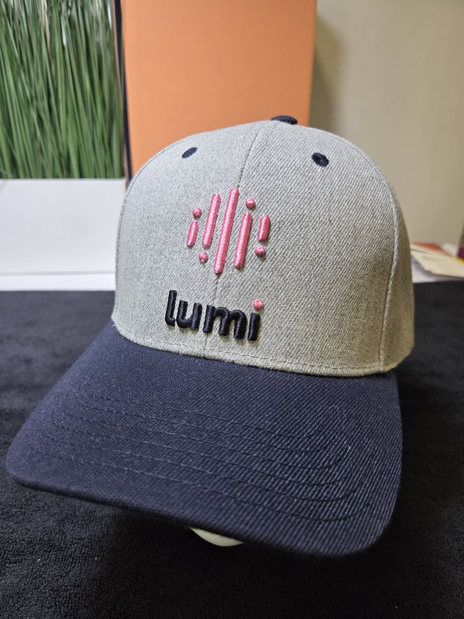 Client Story: Lumi