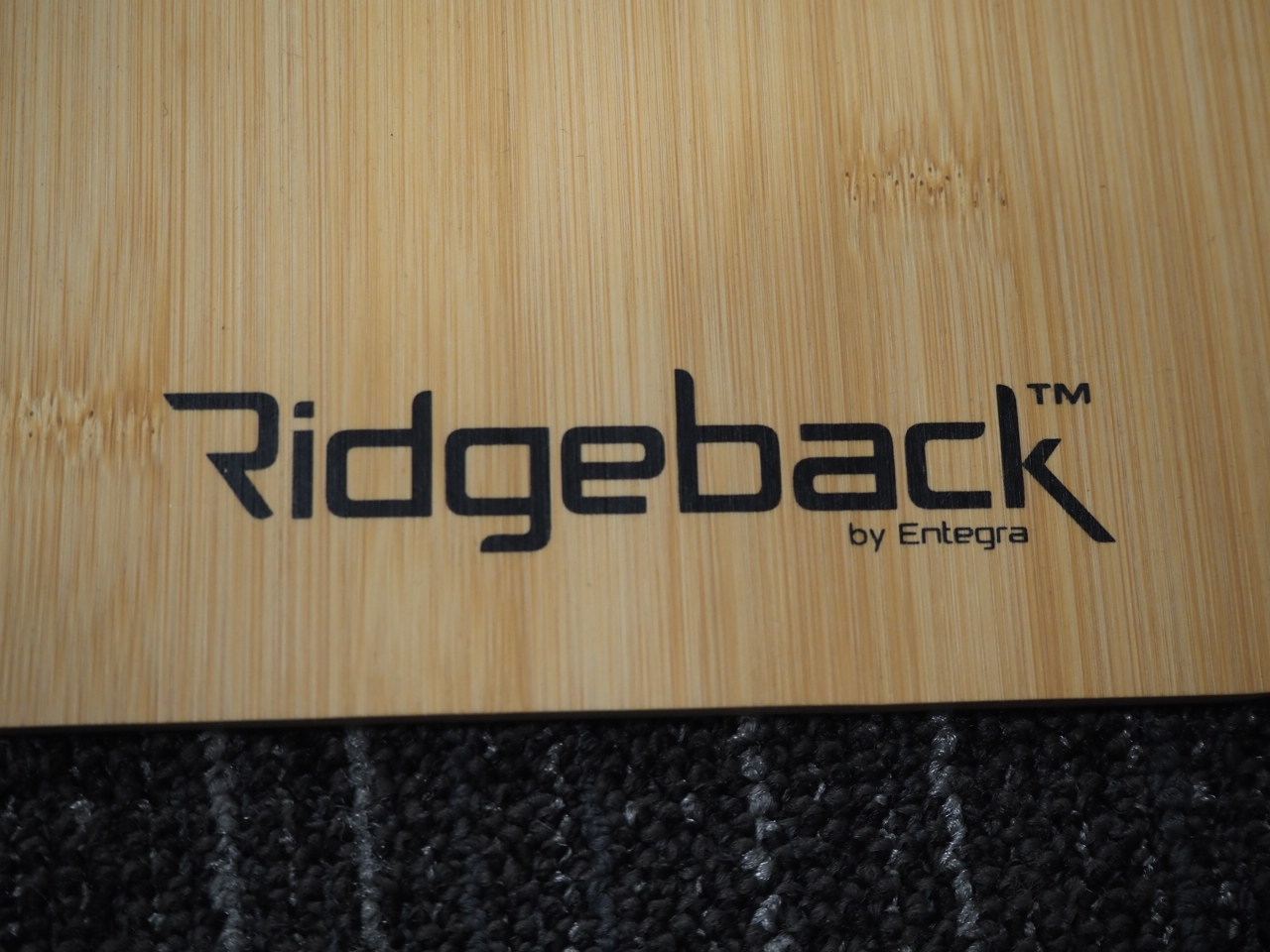 Ridgeback by Entegra logo engraved on wood above a plush carpet.