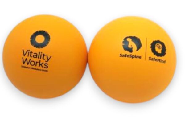 Two of the funnest promotional items: orange stress balls with Vitality Works and safety logos.