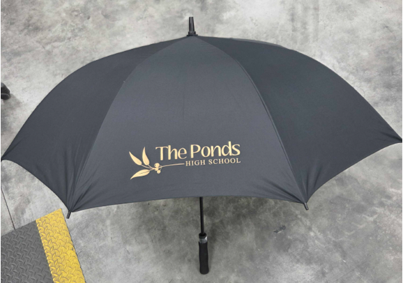 The Ponds High School