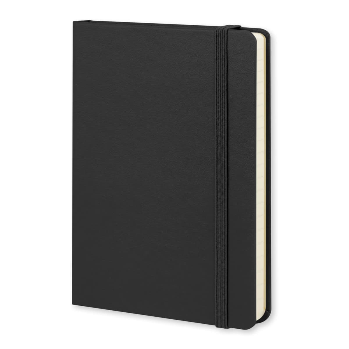Moleskine Pro Hard Cover Notebooks Large