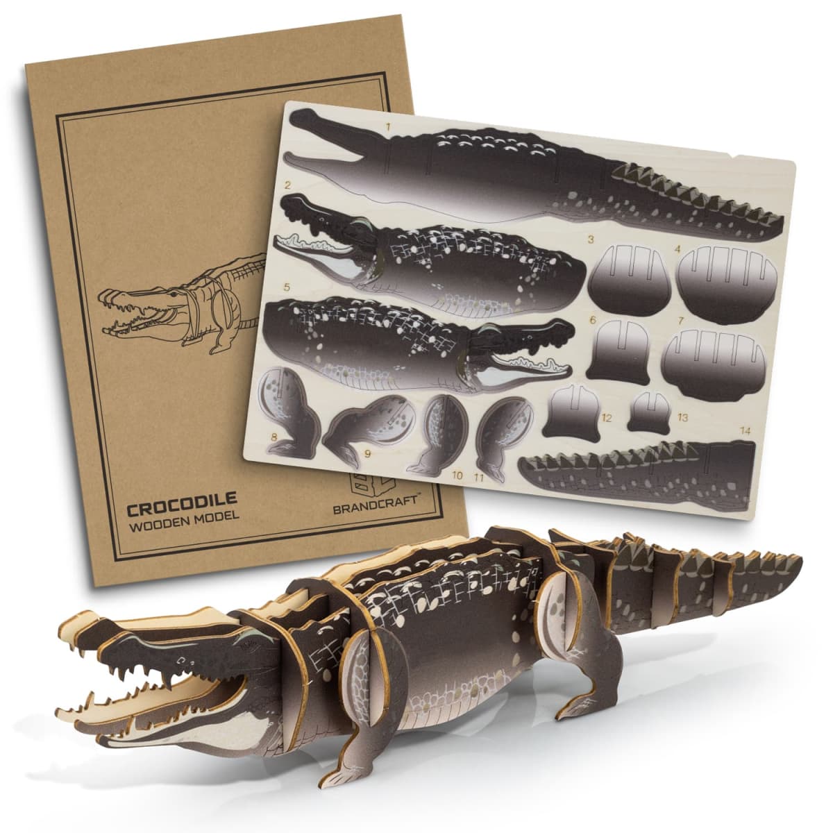 Crocodile Wooden Model