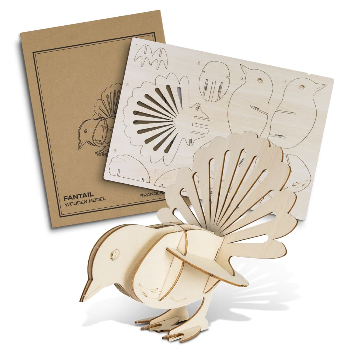 Fantail Wooden Model