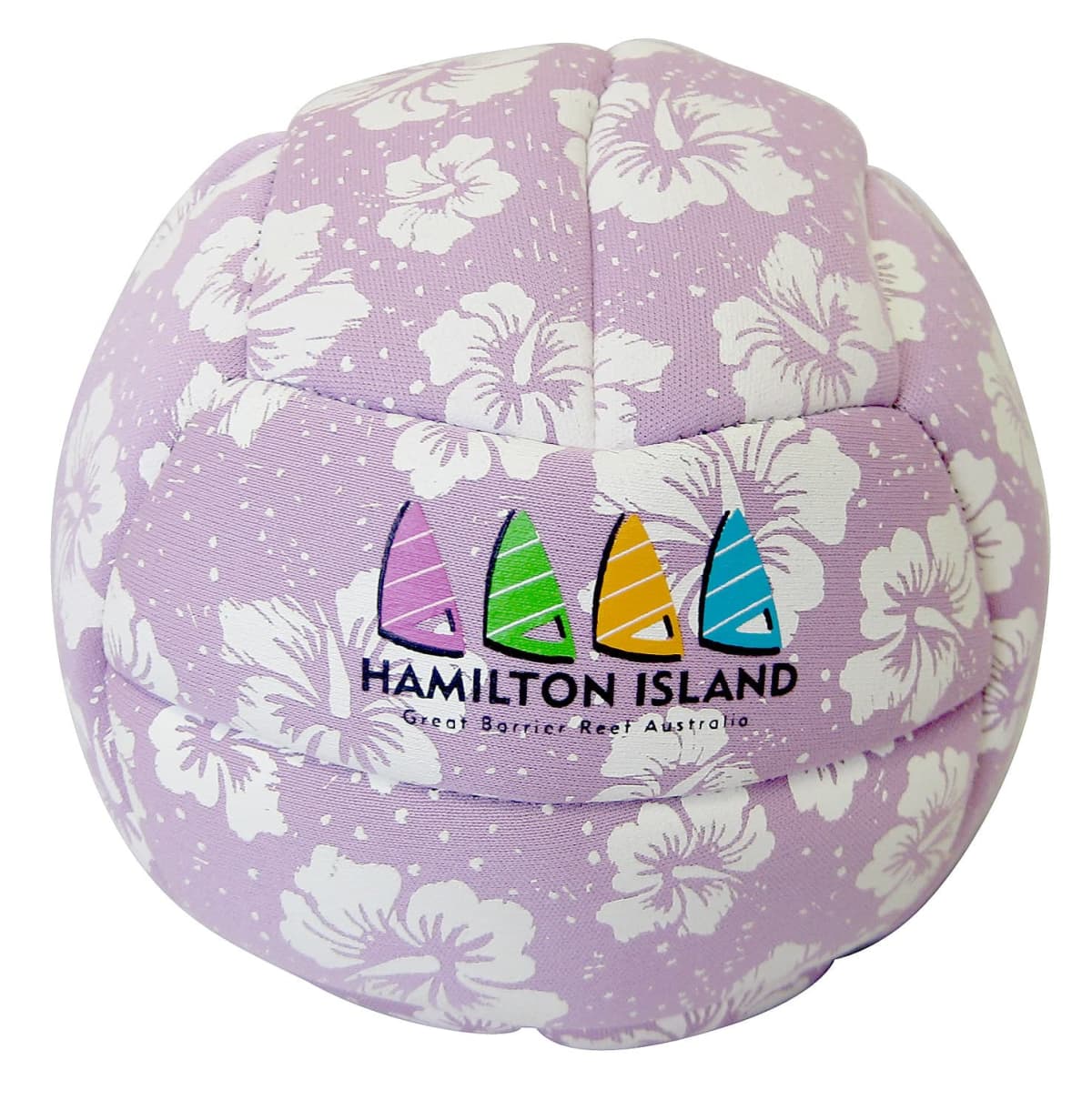 Volleyball Large