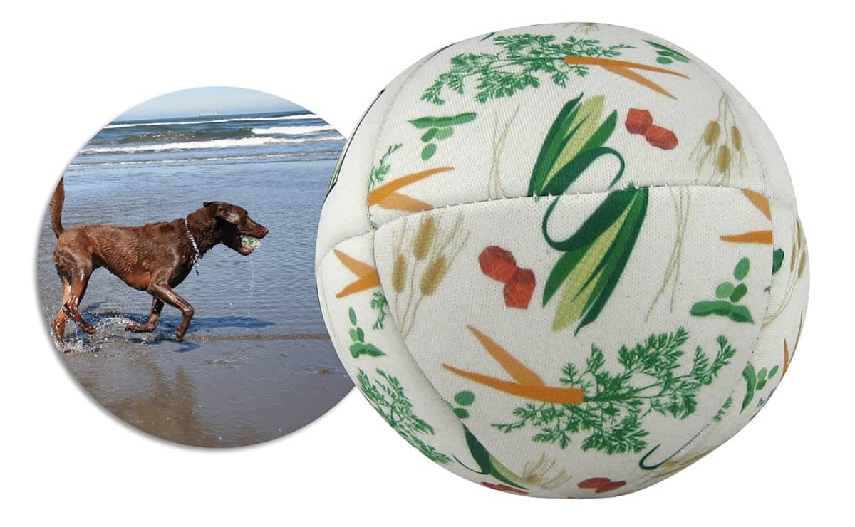 Pet Toy Balls