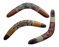 Indigenous Tiny Boomerangs