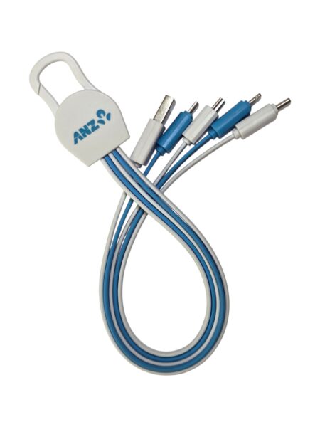 The ANZ Bank