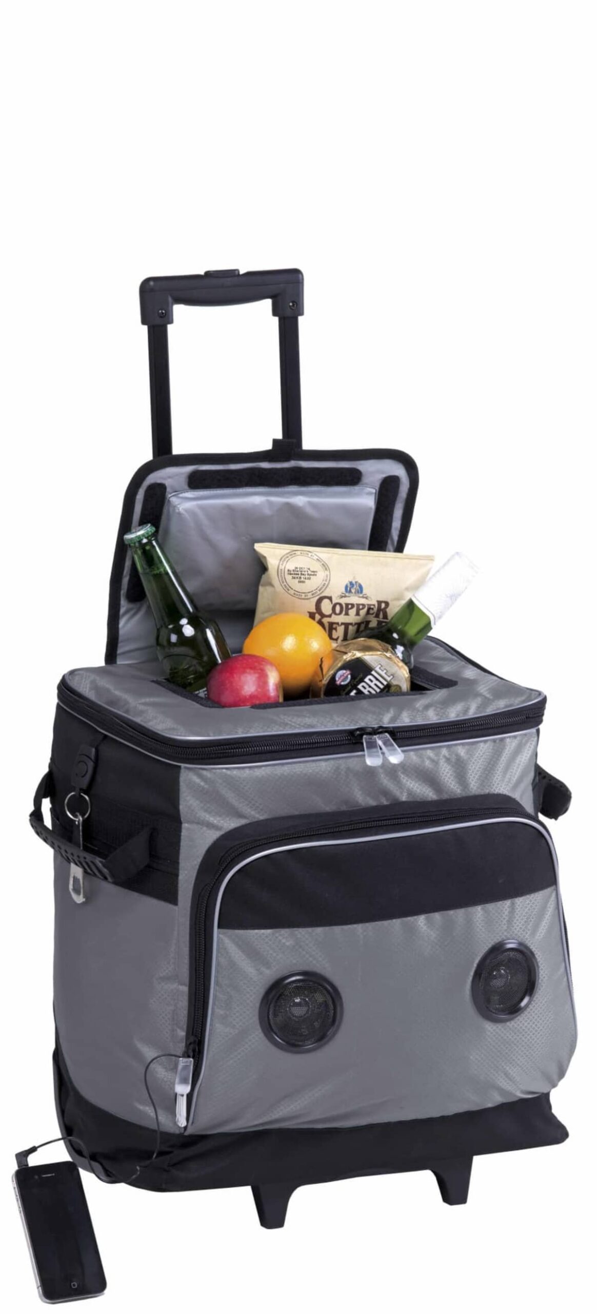 Ares Music Coolers