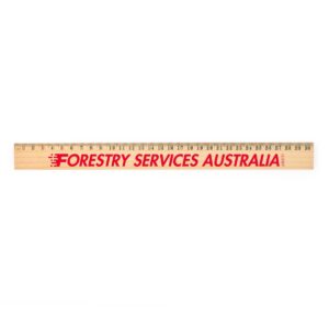 Artus Wooden Rulers