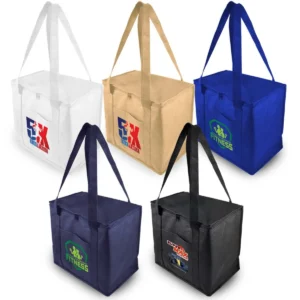 20L Cooler Shopping Bags