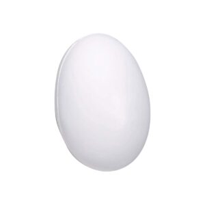 Stress Ball Egg - rush