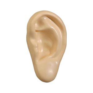 Customized Stressball Ear - rush