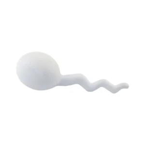 Stress Sperm Toys - rush