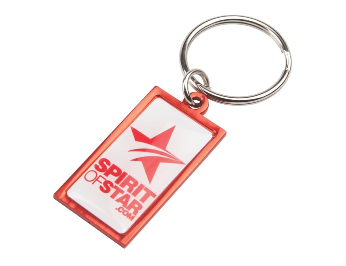 Rainbow Vii Keyring (20X40Mm Rectangle)-Ind