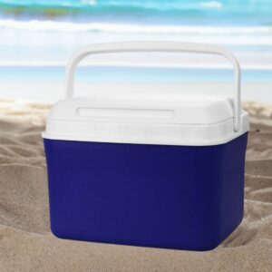 Dunkridge Cooler Boxes 4.5L