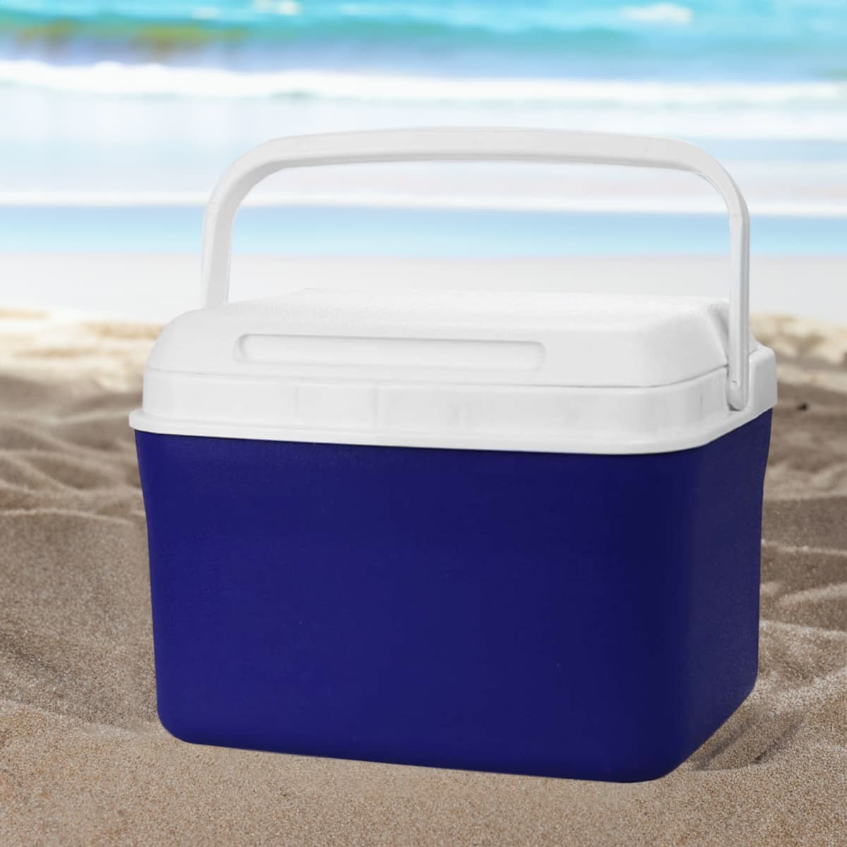 Dunkridge Cooler Boxes 4.5L