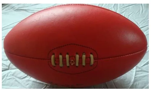 Leather Branded FootBalls