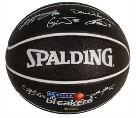 Basketballs Size 5