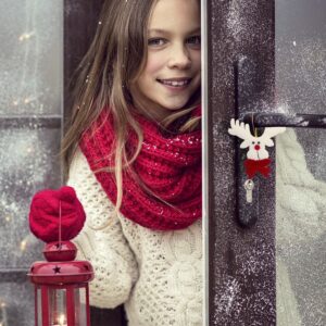 Triolax Christmas Decoration Sets