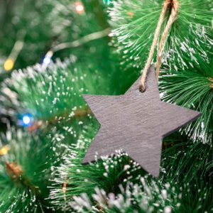 Stanplex Christmas Decorations