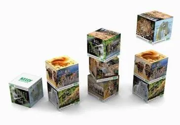 Magnetic Printed Calendars