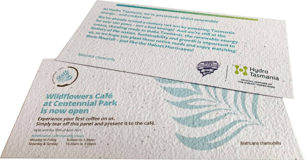 Seedsticks Seed Paper Flyer