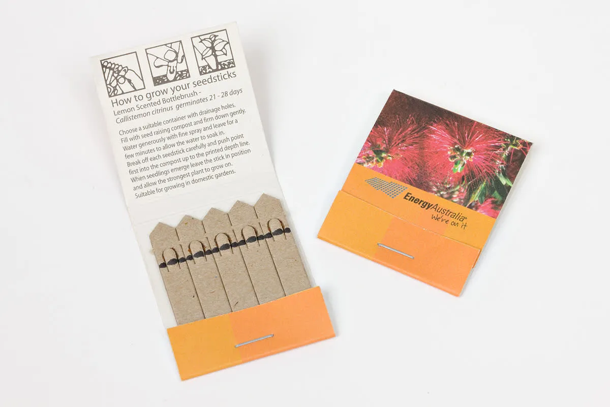 Seed Sticks 5 Pack