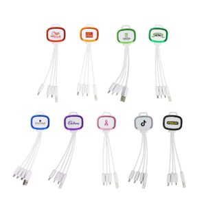 Chipley 4-In-1 Charging Cables